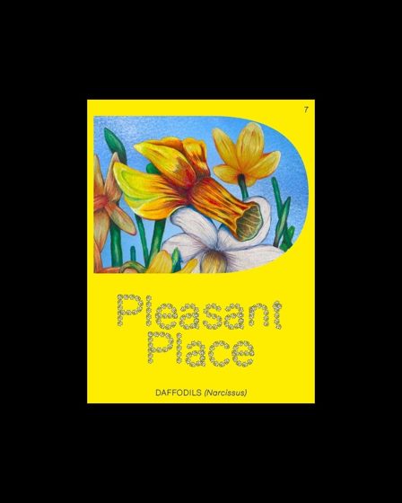 Pleasant Place — Issue 7: Daffodils