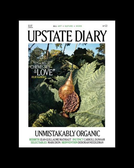Upstate Diary — Issue 22